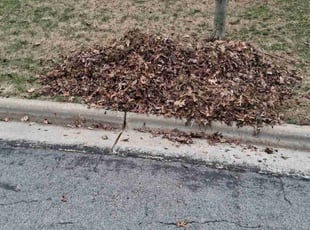 Leaf Removal by Kevin Rhyne for Jessie H. in Madison, WI