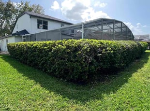 Bush Trimming by Raymond Rivera for Christina M. in Orlando, FL