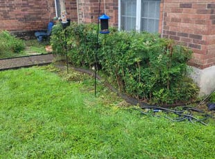 Bush Trimming by Taylor Hanna for Lisa W. in San Antonio, TX