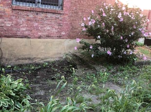 Jennifer U.'s Flower Bed Weeding service result