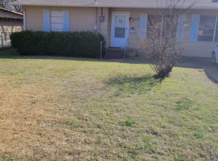 Leaf Removal by Sebastian Gomez for Christina C. in McKinney, TX