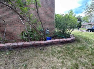 Bush Trimming by Jessica Almanza for Kathlene M. in Littleton, CO
