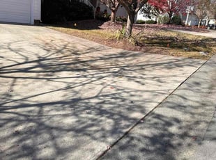 Leaf Removal by Christopher Glasscock for Taryn D. in Durham, NC