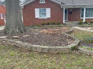 Leaf Removal by Tristan Spradlin for Hannah M. in Lexington, KY