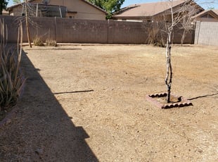 Cleanups by Damian Hudson for Khali F. in Glendale, AZ