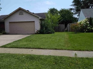 Dorothy R.'s Lawn Mowing service result