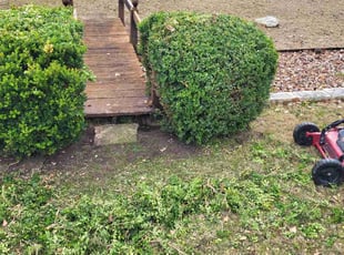 Bush Trimming by Jason Westgor for Danielle M. in Fair Oaks Ranch, TX