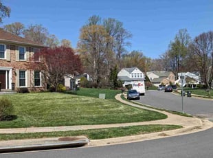 Michelle A.'s Lawn Mowing service result