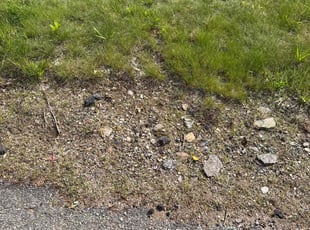 Jerry W.'s Leaf Removal service result