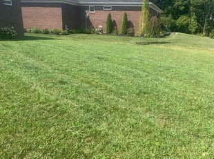 KUMAR R.'s Lawn Care service result