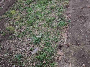 Cleanups by Robert Doedy for Tonya J. in Milwaukee, WI