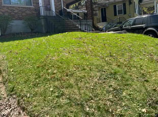 Leaf Removal by James Abernathy for Janice B. in Cincinnati, OH