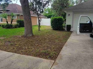 Leaf Removal by Jeanie Brundage for Rafael A. in Ormond Beach, FL
