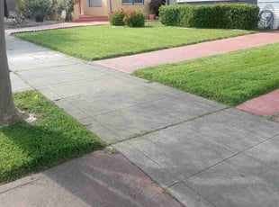 Sotha Y.'s Lawn Mowing service result