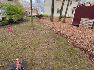 Leaf Removal by Chris Grimes for Will G. in Columbus, OH