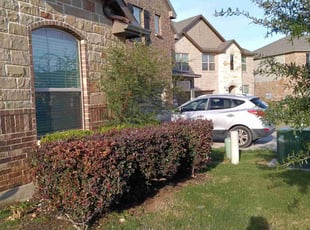 Bush Trimming by Mark Carrizales for Kimberley P. in San Antonio, TX