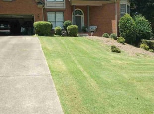 Amanda D.'s Bush Trimming service result