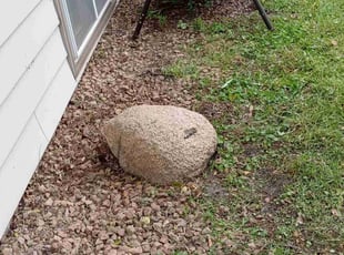 Cleanups by for James S. in Coon Rapids, MN