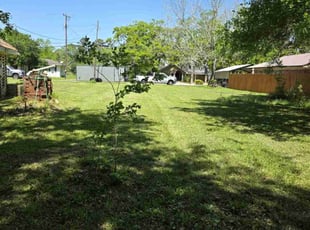 Bradley C.'s Lawn Care service result