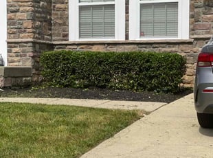 Bush Trimming by Dale Bernard for Mr M. in Brandywine, MD