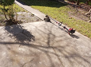 Leaf Removal by Anthony Weir for Fernita C. in La Marque, TX