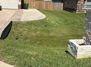 Misty M.'s Yard Cutting service result