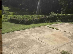 Bush Trimming by Ben Bolin for Elizabeth G. in Gastonia, NC