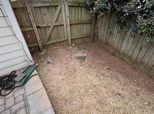 Leaf Removal by Daniel Burse for Clarissa R. in Smyrna, GA