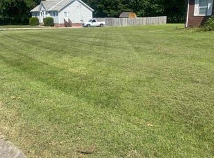 Nick H.'s Grass Cutting service result