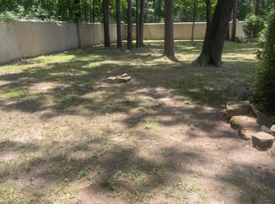 Leaf Removal by Warren Carter for Barry V. in Porter, TX