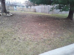 Leaf Removal by Julio Almestica for Shana B. in Lee's Summit, MO