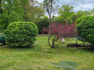 Leaf Removal by Joshua Nunez for Osazee O. in Longmeadow, MA