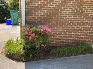 Bush Trimming by Cyntmara Home and Lawns for Mylanah A. in Smyrna, GA