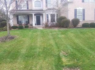 Vinay J.'s Lawn Maintenance service result