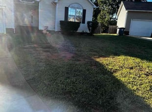 Bush Trimming by Aaron Graham for Gary B. in Kannapolis, NC