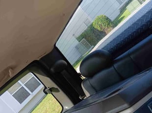 Bush Trimming by Bradly Reil for Erin W. in Ponte Vedra Beach, FL