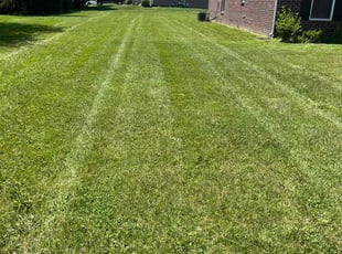 Matthew S.'s Lawn Maintenance service result
