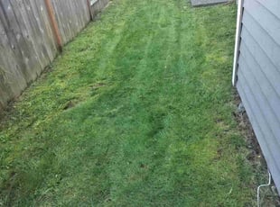 Gary M.'s Grass Cutting service result