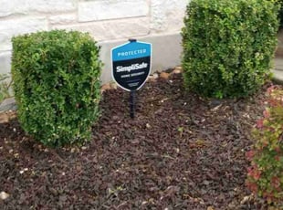 Brittany K.'s Bush Trimming service result