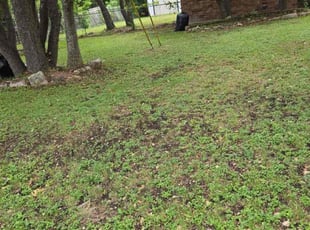 Cleanups by Keily Delgado Preciado for Eniola A. in Leander, TX