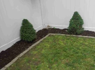 Mulching by Joshua Evans for Samuel E. in Boston, MA