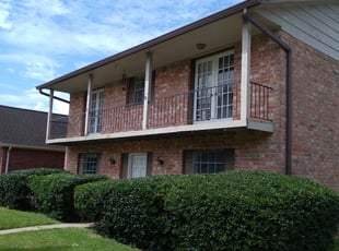 Bush Trimming by francisco gonzalez pineda for Michiko W. in Stafford, TX