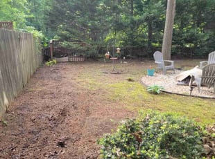 Leaf Removal by Alfredo Vega for Lauren P. in Richmond, VA