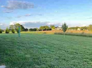 Cathy G.'s Lawn Maintenance service result