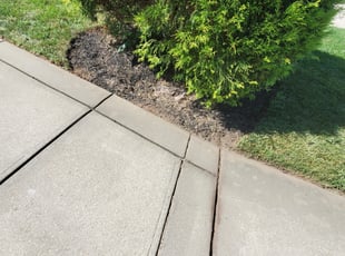 Weeding by Michael Oquendo for Brendan L. in Clayton, NC