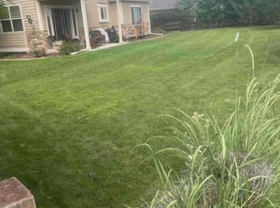 Brett B.'s Lawn Care service result