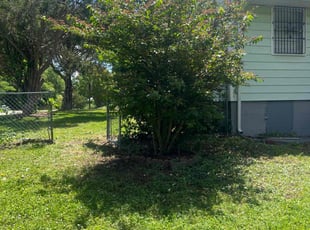 Bush Trimming by Jacob Horne for Sibo-Mana A. in Petersburg, VA