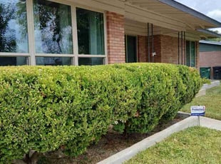 Bush Trimming by Vincent Vasquez for James B. in San Antonio, TX