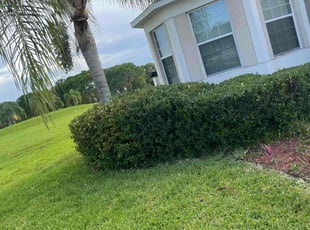 Bush Trimming by Hanif Ibn King for Julie P. in Lakeland, FL