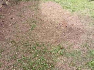 Leaf Removal by Enrique Juarez for Garret M. in Acworth, GA